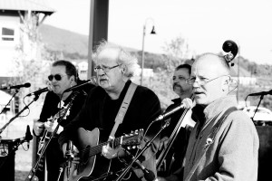 seldom scene