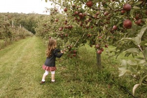 Farm Fresh Adventure