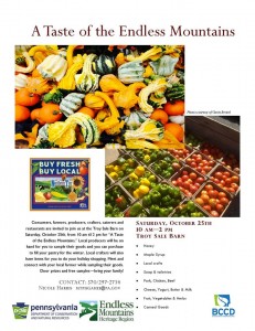 Taste of the Endless Mtns flyer