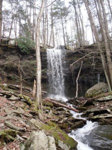 jacoby falls