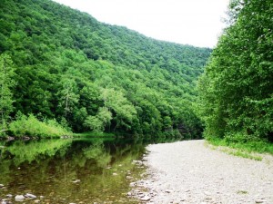 loyalsock creek