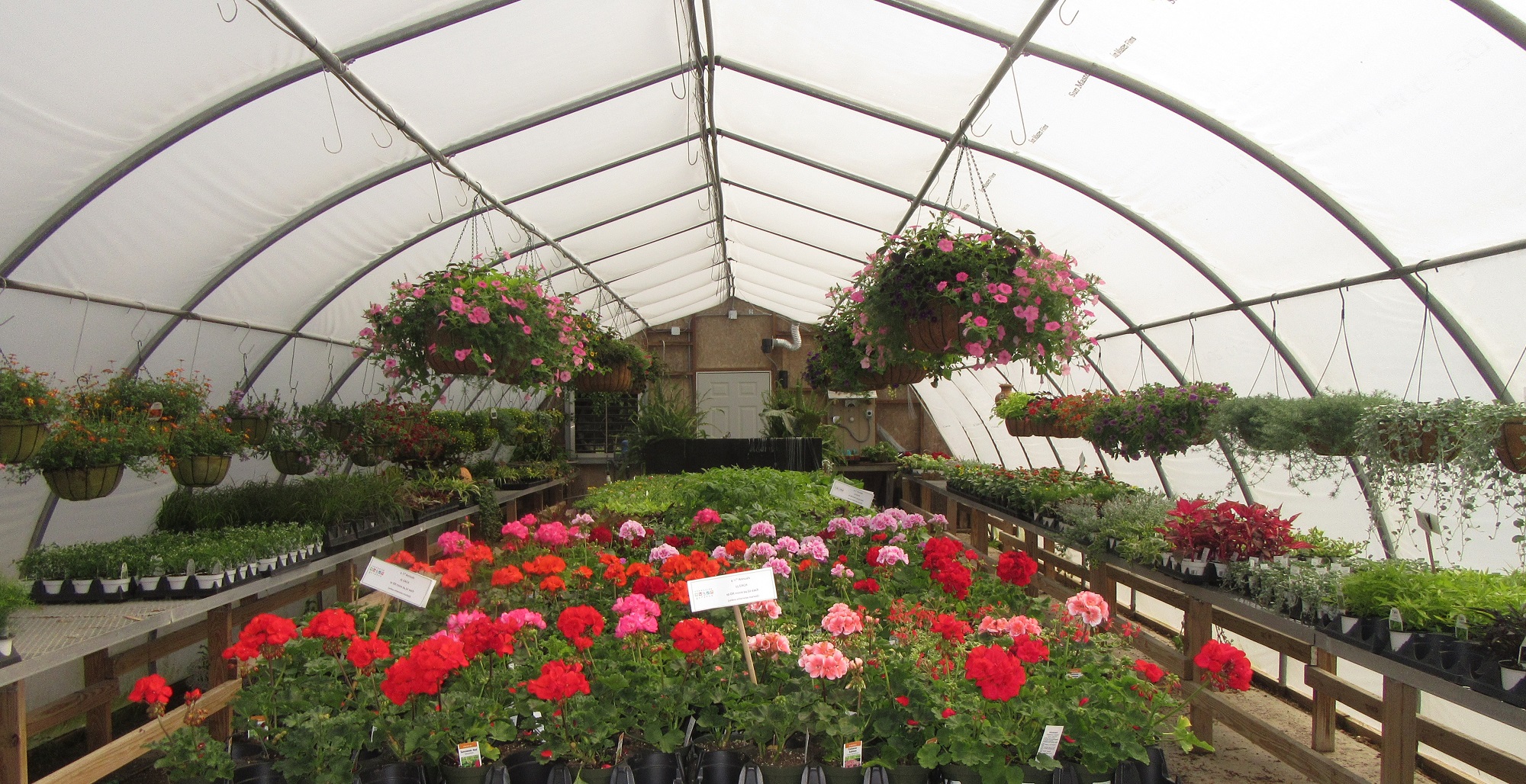 Garden Center Pairs Plants With Participation