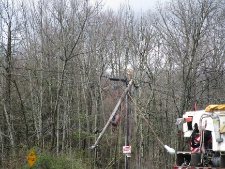 Winds Bring Down Trees and Utility Lines Near Meshoppen ...